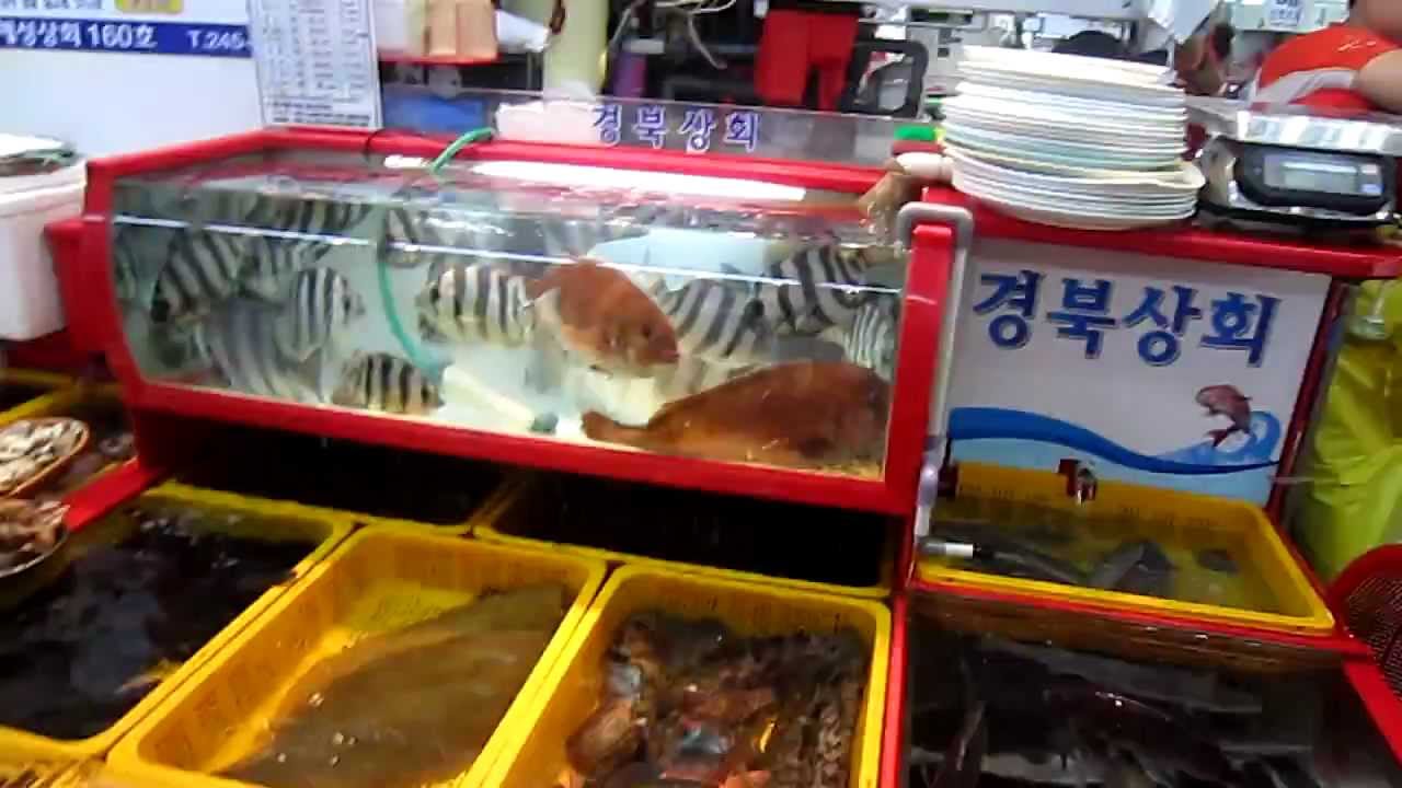 Рынок морепродуктов - YouTube