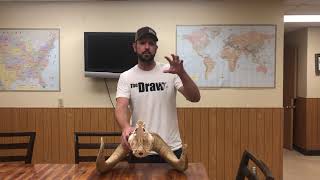 Alaska Deadline Why & Why Not