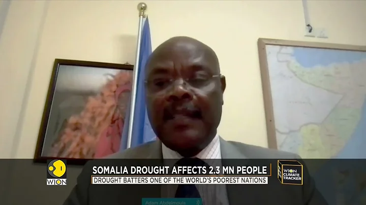 UN: Somalia drought affects 2.3 million people, one in four Somalis face acute hunger | Climate News