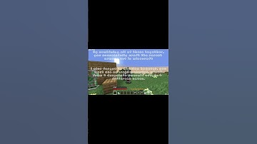 how to waste hours of your time for a small minecraft flex