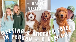 DOG MOM VLOG | Meeting A Breeder Friend In Person, Introducing Our New Puppy + Oakley Visits