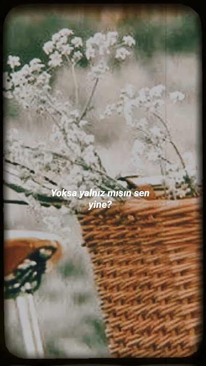 Ayten Alpman / tek başına 🎶