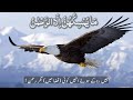Surah Mulk with Urdu Translation