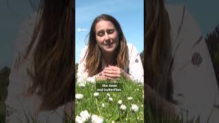 Schoolchildren inspire to 'grow not mow' for wildlife-friendly lawns #news #environment #shorts