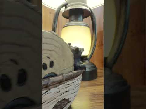 2106 Hickory Manor Rd, Pigeon Forge, TN home video tour