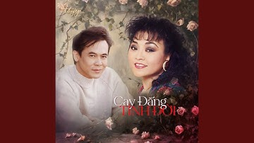 Trăng Rụng Xuống Cầu