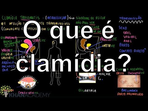 Vídeo: Diferença Entre Clamídia E Rickettsia