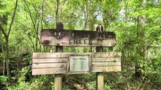 we came upon the Tootoosahatche Creek bridge while hiking #camping #hiking #camplife #naturelovers 