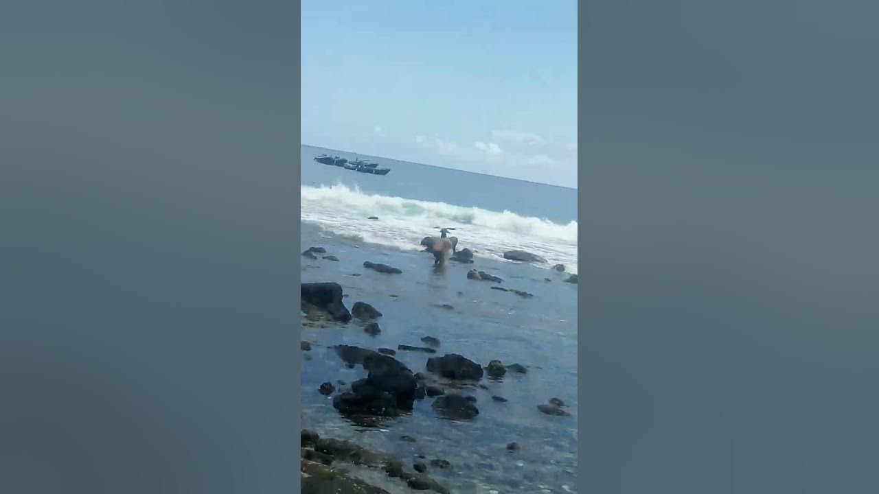 Throw net Hawaii " Kona INN" YouTube