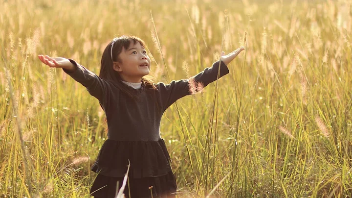 O Significado Espiritual e Simbolismo do Beija-flor