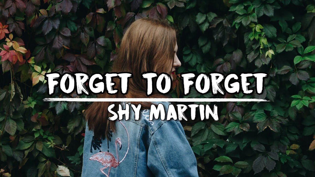 Shy Martin Forget To Forget Lyrics Video Youtube