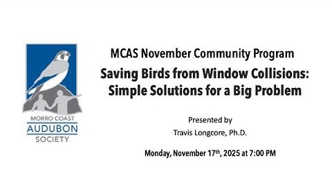Saving Birds from Window Collisions  Simple Solutions for a Big Problem
