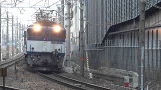 JR貨物 EF64-1036+EF64-1020 重連(81レ 大宮更新色 向き揃い) 鶴舞-千種