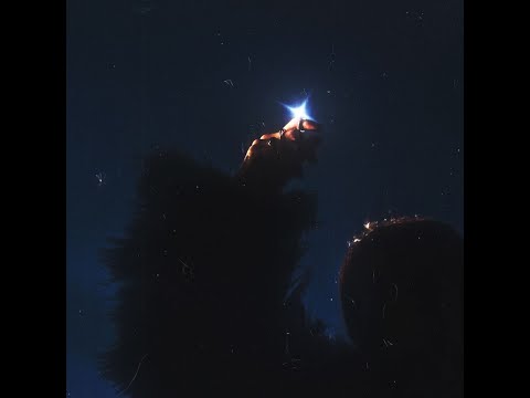 SHOOTING STAR video preview