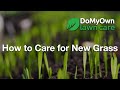 How to Care for New Grass | DoMyOwn.com