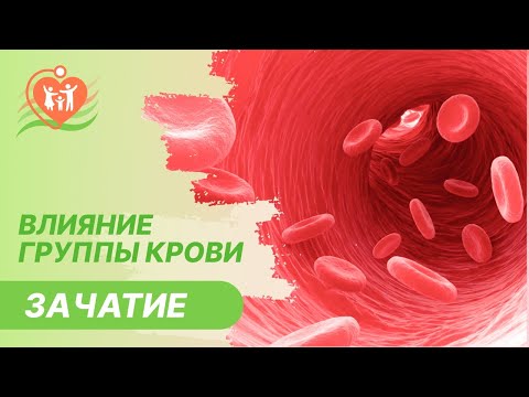 🩸 Влияние группы крови на зачатие