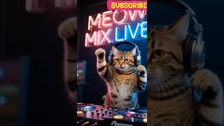 🎧 Title: “Paw Drop Party!”📍#DJCat #PartyVibes #MeowMix #CoolKitty 😺💿