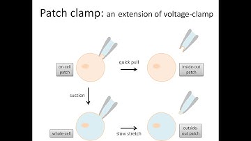 Voltage clamp and patch clamp electrophysiology methods for studying ion channels