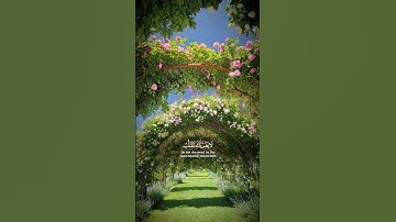 ياسر الدوسري - سورة آل عمران ١٩٦-١٩٨ ||| #allah #quran #ramadan #الله #رمضان  #قرآن
