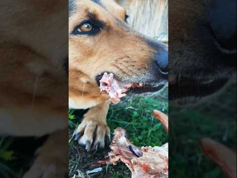 ديناء تتنول طعم مفضل  الرحمن 