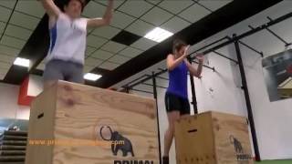 Primal Training Bcn Promo
