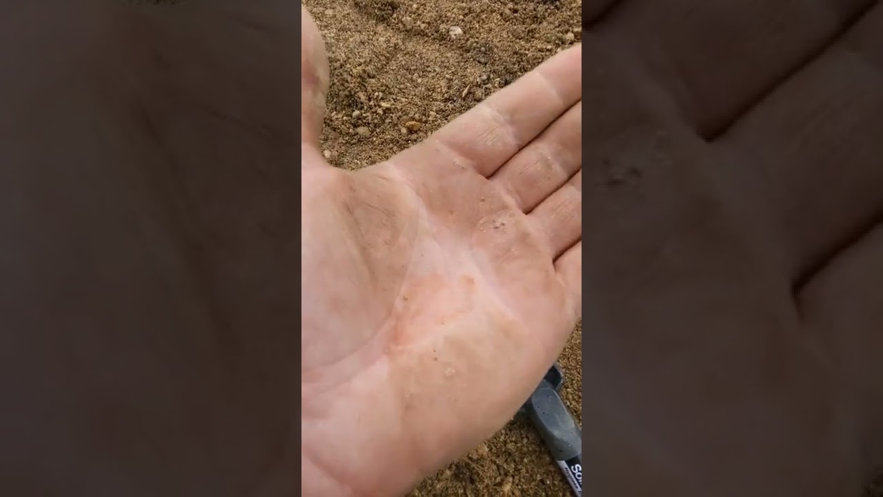 Tiny gold detected - Victorian Goldfields