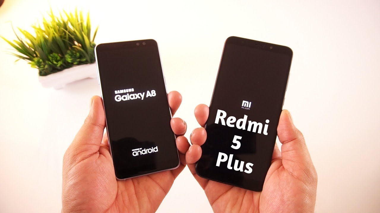 Redmi 5 Vs Redmi 5 Plus