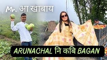 Organic Farm II कबि आरो Tomato Mr.Ang khana labwbai ll Bodo Family Vlog