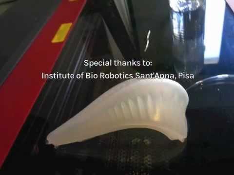 ‪Pneumatic Muscle / Soft Actuator / Fab Academy 2015‬