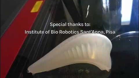 ‪Pneumatic Muscle / Soft Actuator / Fab Academy 2015‬