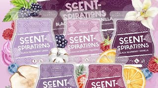 Scentsy Small Haul Ft. Black Raspberry Vanilla Scentspirations Collection!