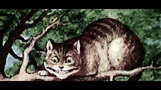 Hermit of Babylon - I’m still right here 