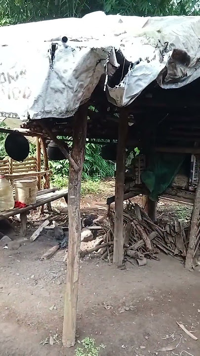 aktivitas orang Sunda pajajaran#shorts #shortsfeed #pajajaran #wangsitsiliwangi