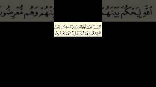 surah Al Imran ayat 23