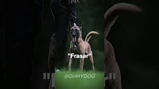 Badass male dog names pt 1 #dognames #names #cool #dog #dogs #dogshorts #ohmydog #babynames #epic