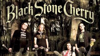 Watch Black Stone Cherry The Bitter End video