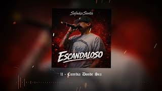 11 - Cumbia Donde Sea - Safados Santa - Audio Oficial
