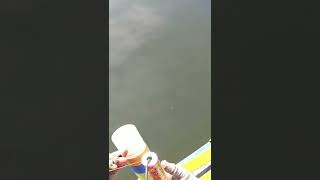 Cara Pasang Mata Paser, Paser Ikan