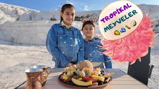 TROPİKAL MEYVELER 🥭🫐🍍🥥