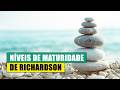 09 Entenda o que é REST e RESTful: Aprenda os Níveis de Maturidade de Richardson para APIs Perfeitas