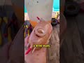 این مرد شایسته ی تشکر فراوان است