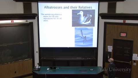 16. Comparative Methods: Trees, Maps, and Traits