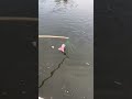 I Spent 48 Hours Fighting A River Monster #rivermonster  #fishing  #epicbattle #shorts