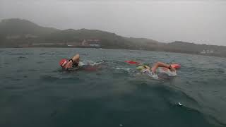 20200823 巴威颱風 過後 西子灣早泳會 高雄鐵人 Walle
