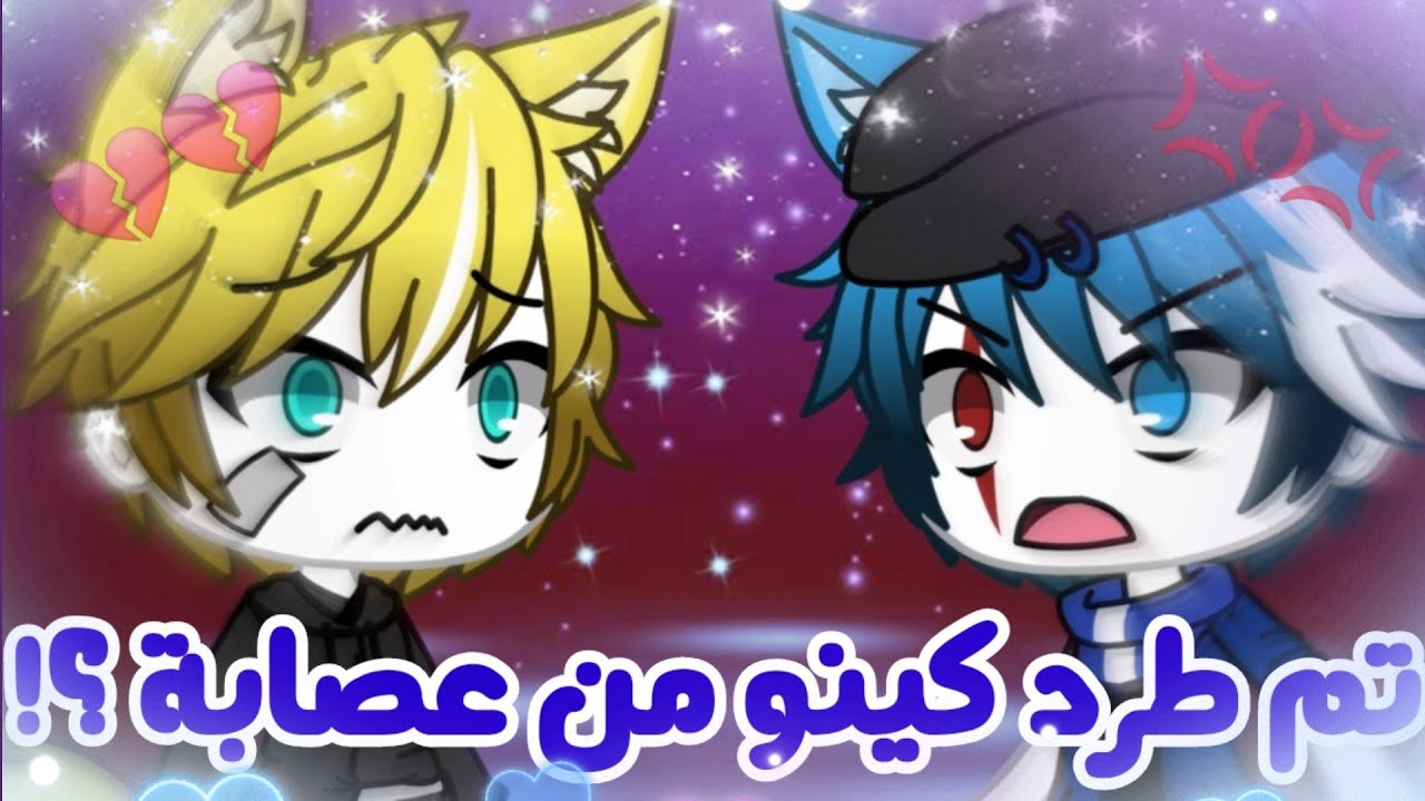 يومياتي#13/ تم طرد كينو من عصابة ؟! // خطة زاك لقتل هيروكي🌚💔☄