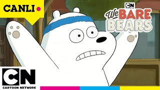 Canli Kafadar Ayilar 1. Sezon Tüm Bölümler