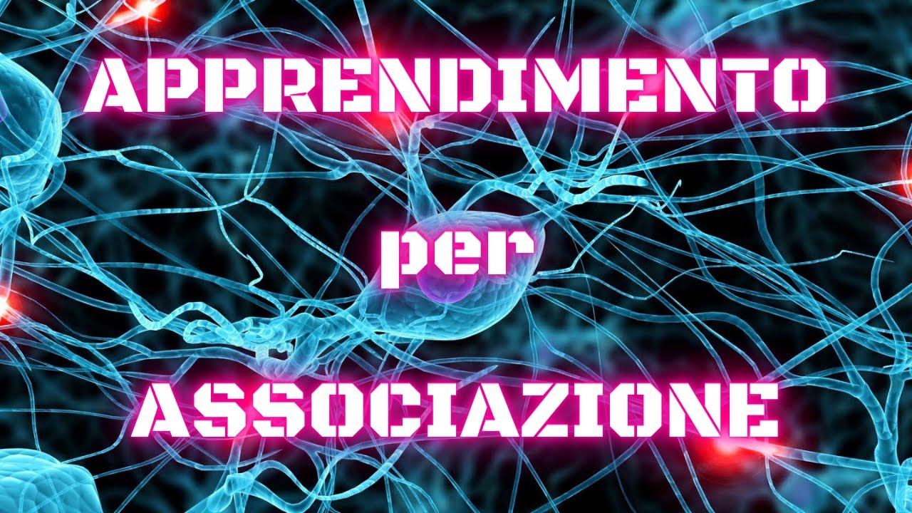 STIMOLO RISPOSTA - le associazioni - YouTube