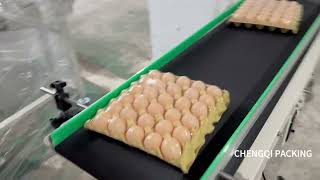 egg tray automatic shrink wrap packing machine