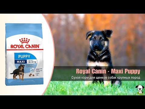 Сухой корм для щенков собак крупных пород от 2 до 15 месяцев · Royal Canin Maxi Puppy