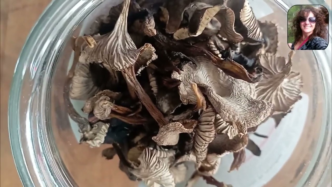 КОНСЕРВИРОВАНИЕ ЛИСИЧЕК ТРУБЧАТЫХ